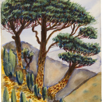 21 b 1289 IMG_5094.tif