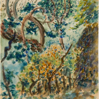 4  1272 IMG_5135.tif