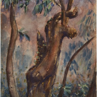 16 a 1284 IMG_5106.tif